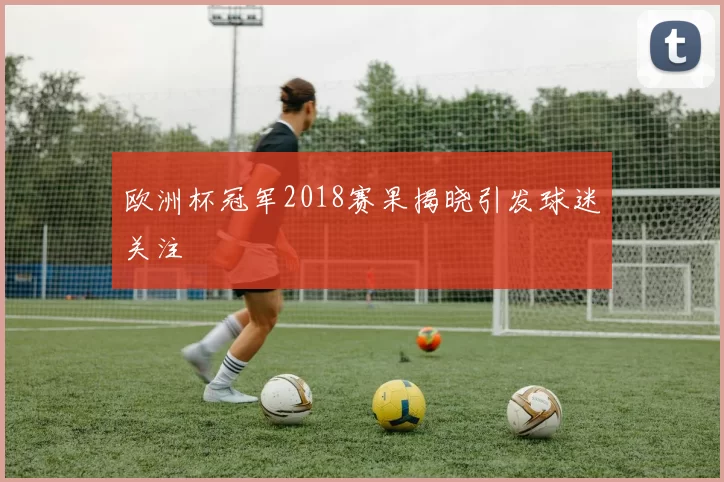 欧洲杯冠军2018赛果揭晓引发球迷关注