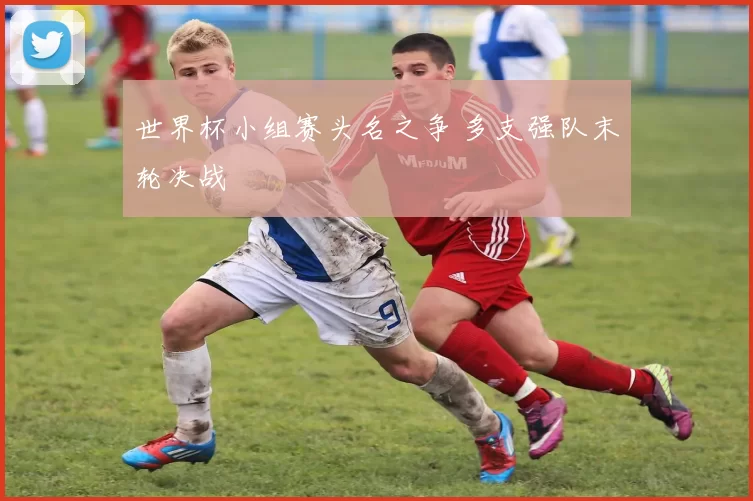 世界杯小组赛头名之争 多支强队末轮决战