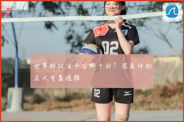 世界杯投注平台哪个好?深度评测五大可靠选择