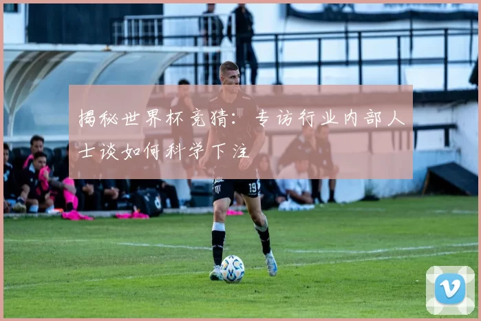 揭秘世界杯竞猜:专访行业内部人士谈如何科学下注