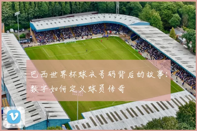 巴西世界杯球衣号码背后的故事:数字如何定义球员传奇