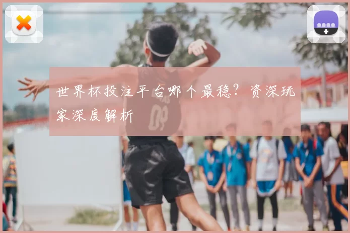 世界杯投注平台哪个最稳?资深玩家深度解析